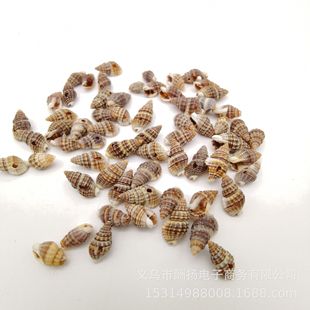 40 kinds of perforated natural shell conch starfish wholesale manufacturers kindergarten handmade diy hanging accessories