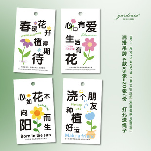 No Anxiety Hanger, Green Plant, Relaxed Hanger, Happy Fortune Tree, Lucifer, Happy Entry Card