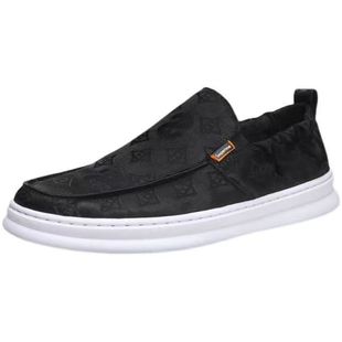 Canvas men's shoes 2024 new summer breathable cloth shoes trendy versatile men's sports casual sneakers gray trendy shoes