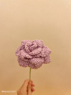 Pointed Rose Woven Bouquet DIY Handmade Artificial Flower Knitted Eternal Flower Double Handmade Woven Bouquet Finished Products