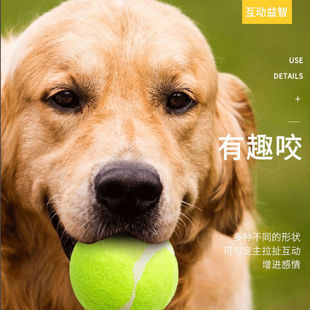 Dog toy ball self-hi to relieve boredom artifact pet side animal husbandry golden retriever Corgi bite-resistant ball training molar tennis rubber