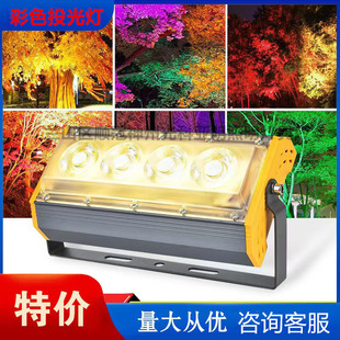 Светодиодный светильник Dongsheng для стрельбы по дереву 50W100W газонная лампа в соответствии с лампой для дерева прожектор цветной прожектор освещение дерева