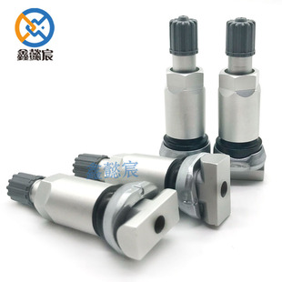 Suitable for Mercedes-Benz valve British Finidi land rover tire pressure sensor valve aluminum alloy air nozzle