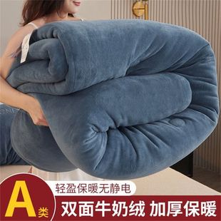 Winter quilt double-sided milk velvet quilt winter super thick warm coral velvet cotton quilt core single double student dormitory winter