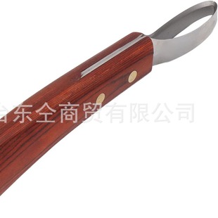 High quality ring hoof repair knife hoof heart knife hoof repair tool horseshoe knife pick hoof knife horse tool hoof repair knife