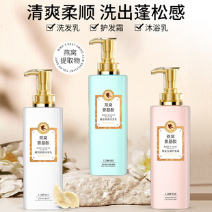 Wholesale Bird's Nest amino acid shampoo refreshing oil control anti-dandruff hair conditioner shower gel lasting fragrance factory genuine goods