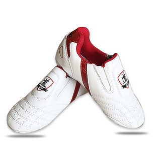 DRACULA Taekwondo Shoes Taiji Shoes Men's Breathable Women's Professional Training Soft-soled Non-slip Martial Arts Shoes Children's Shoes