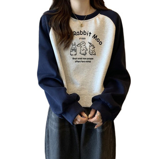 Vintage Colorblock Raglan Sleeve Pullover Short Sweat Women's Winter Design Niche High Waist Loose Long Sleeve Top