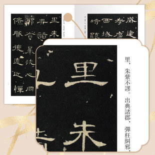 Chinese Calligraphy Classics Beginner's Tutorial Calligraphy Appreciation Sinology Copy Template