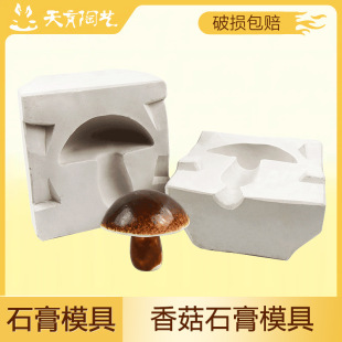 Tianyu Vegetable and Fruit Mold Gypsum Grouting Mold Pottery Mold Fresh Life Mushroom Grouting Mold