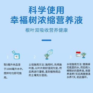 Оптовая продажа счастливого дерева питательный раствор для бонсай