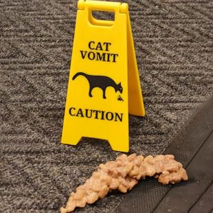 Cat Vomit Sign Собака Собака Кошка рвота Предупреждающий знак вывески Амазонки