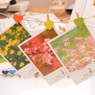 Color primary color hemp rope tag Photo Wall small wooden clip DIY handmade hemp rope shooting decorative props 7 colors in total