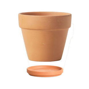 Red clay small flowerpot extra large with tray breathable clearance special home fleshy mini butterfly orchid green dill
