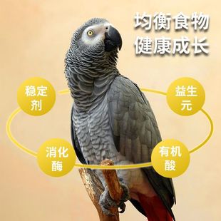 Versail A21 Parrot Milk Powder Low-Fat Baby Bird Tiger Skin Peony Black Phoenix Baby Bird Milk Powder Nutrients in Bulk 250g