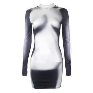 European and American women's clothing 2024 autumn new fashion street half high collar long sleeve fashion printed hip dress