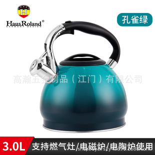 304 Stainless Steel Sound Kettle Gas Induction Cooker Household Kettle Gradient Color Thickened Compound Bottom Sound Kettle