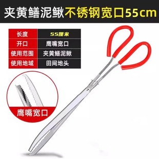Stainless steel eel clip eel loach crab pliers non-slip pick up garbage clip multi-functional special sea artifact