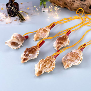 Conch Whistle Crafts Wholesale Flat Thorn Whistle Screw Children's Toy Gift Blowing Horn Tourist Souvenirs