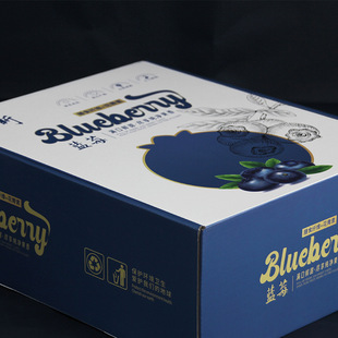 Blueberry Portable Gift Box Packaging Box Universal Fruit Packaging Gift Box Moisture-proof Thickened Portable Fruit Box Customizable