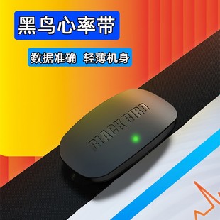 Blackbird BB20 code meter bicycle GPS waterproof ant + wireless Chinese luminous code meter
