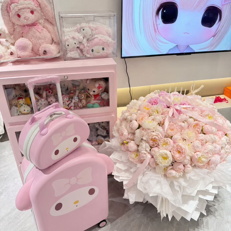 Melody Suitcase for Women, New Cute Cartoon Design, 20inch Carry-On Travel Suitcase, Cute Trolley Password Lock Suitcase 24inch