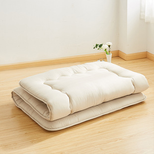 Cross-border Foreign Trade Thickened Quilt Daily Series Single and Double Constant Temperature Warm Autumn and Winter Bedding Cotton Quilt Bedding