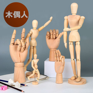 Weizhuang art painting wooden finger puppet 12-inch flexible wooden hand imitation human body sketch puppet