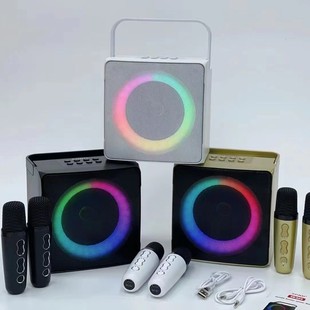 Трансграничный SD508 Семейный K Song Машина Bluetooth Аудио двойной беспроводной микрофон все-в-одном звуковая карта на открытом воздухе динамик