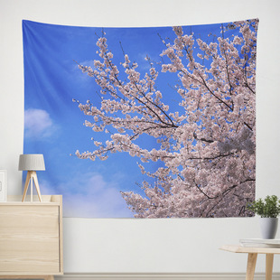 Internet celebrity live background cloth ins style hanging cloth window bedroom wall cloth dormitory bedside decoration room wall canvas