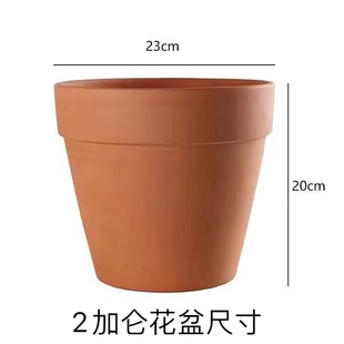Red Pottery Pot Clearance Flower Mini International Succulent Plant Breathable Simple Purple Sand Green Dill Plant Extra Large Promotion Spot