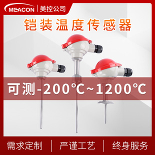 Temperature Sensor Pt100/Pt1000 Direct Lead Temperature Probe Temperature Sensor