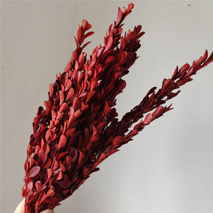 Eternal Flower Small Leaf Populus headdress DIY Flower Material Eternal Leaf Home Flower Ornamentation Green Red