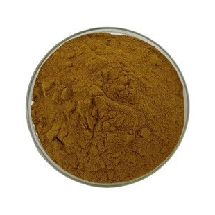 Green Coffee Bean Extract 10:1 Chlorogenic Acid Green Coffee Bean Powder Factory in stock Large Price Excellent