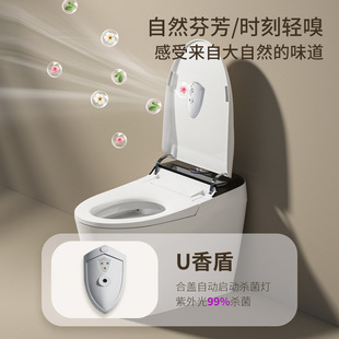 Australia Watermark smart toilet high-end bathroom toilet power failure flush automatic flip