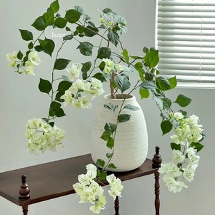 New Style of Hanging Bougainvillea, Easy to Grow in All Seasons, Balcony Cold-Resistant Hanging Plant, Indoor and Outdoor Green Plants, Free Shipping