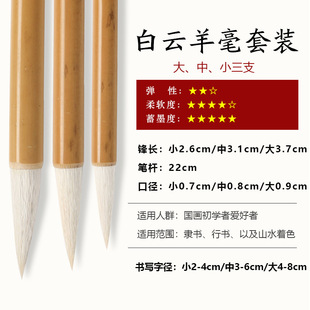 Wolf hair sheep hair and brush Chinese painting calligraphy practice Baiyun pen large and medium-sized small case Chinese painting calligraphy factory wholesale