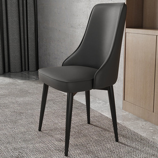 Dining Chair Home Modern Simple Restaurant Chair Comfortable Backrest Iron Dining Table and Chair Nordic Light Luxury Hotel Chair