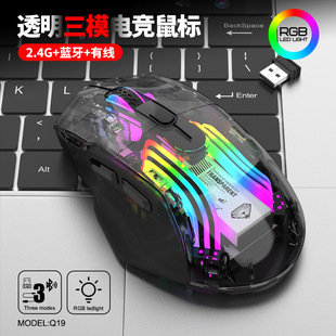 Imperial Leopard Q19 Wireless Bluetooth Three-Mode Transparent Mute Mouse RGB Light Game E-Sports Desktop Notebook Cross-Border