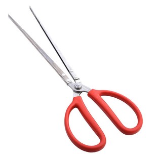 Stainless Steel Monopterus Albus Clip Explosive Snake Hook Pliers to Catch the Sea Thickened Non-slip Eel Fish Catching Tool Artifact Catch Crabs
