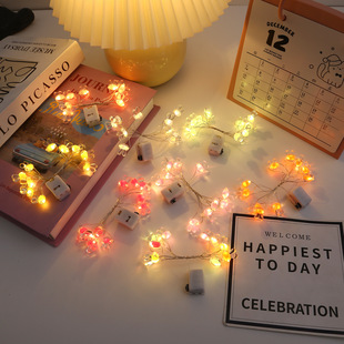 Ins Cute Little Rabbit Led Small Light String Luminous Fresh Flower Bundle Copper Light Girl Gift Box Decorative Light Electronic Lantern