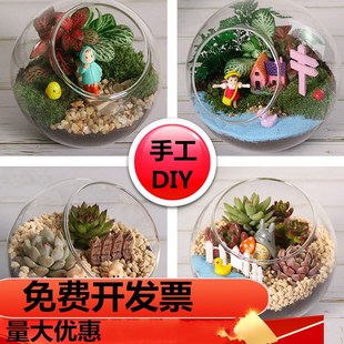 Warm-up Activity Moss Micro Landscape diy Material Package Ecological Bottle Handmade Succulent Green Plant Potted Gift Set