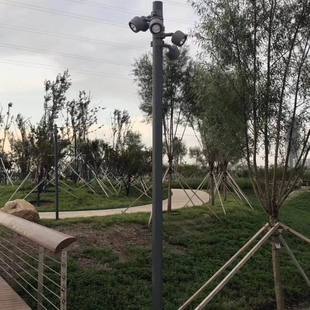 Modern Simple Pole Projection Lamp Hug Projection Lamp Tree Lamp Garden Lamp RGBW Tree Lamp Pole Tree Lamp