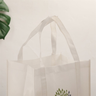 Factory wholesale laminated non-woven bag takeaway portable packaging bag advertising education packaging color three-dimensional bag