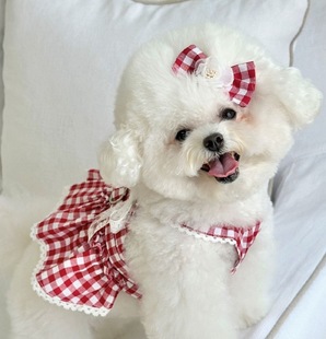 Pet Summer Pet Pastoral Style Haige Waist Small Chest Back Dog Cat Chest Back Tragable Retro Princess Dress