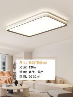 New Normcore Style Living Room Hall Main Light Source Processing Customized Bedroom Room Atmosphere High-End Ceiling Lamp