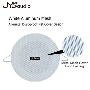 C36E Constant PrEssurE CEiling Audio CEiling SpEakEr CEiling SpEakEr EmbEddEd Public Broadcast SystEm