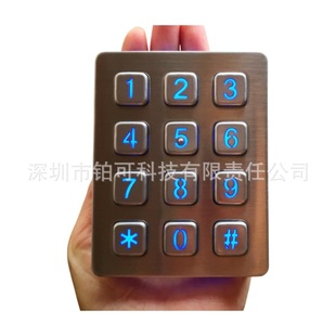 Ip65 Stainless Steel Access Control Self-Service Digital Keypad with Blue Backlight and Mounting Nail