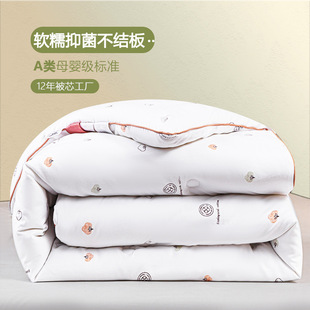 New autumn and winter quilt core sanding printing student lodging room thickened warm space bedding gift quilt wholesale