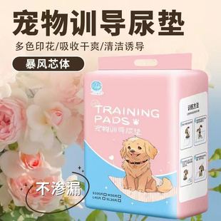 Heart with Honey Language Dog Urine Pad Instant Absorption Deodorization and Taste Removal Thickened Leak-Proof Adhesive Pet Urine Pad Dog Urine Pad Cat